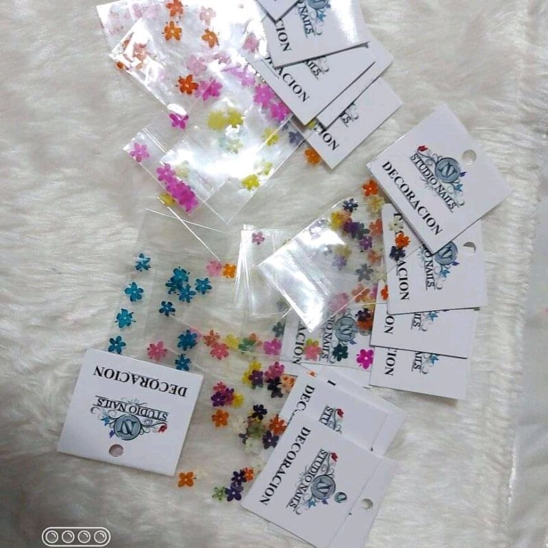 Naturaleza Muerta Plana